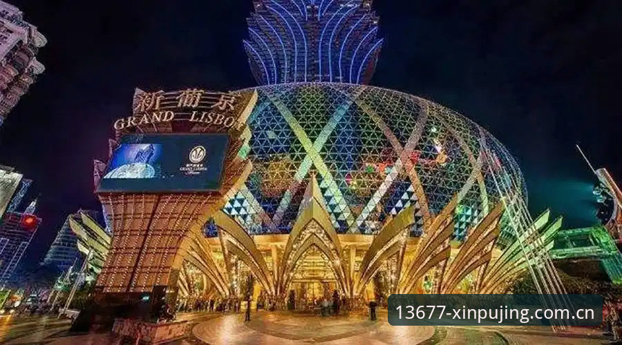 新浦京娱乐平台功能丰富性详解：从技术架构到用户体验的深度评测